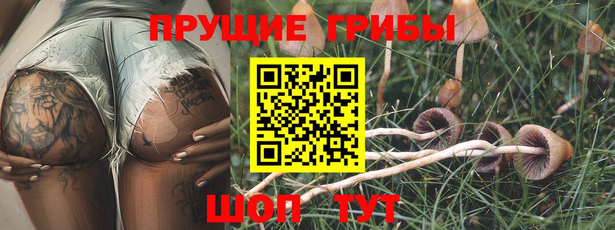 Галлюциногенные грибы Cubensis  Псилоцибиновые грибы MAGIC MUSHROOMS  Нягань  Вход с VPN 